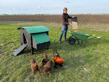 Kunststof Nestera Kippenhok -Lodge Large Op Pootjes schoonmaken