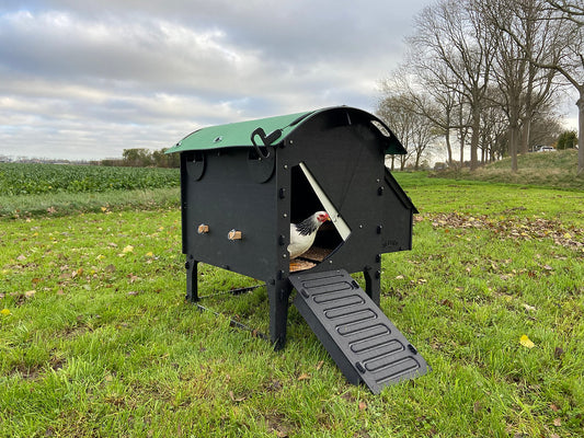 Kunststof Kippenhok - Nestera Medium Op Pootjes