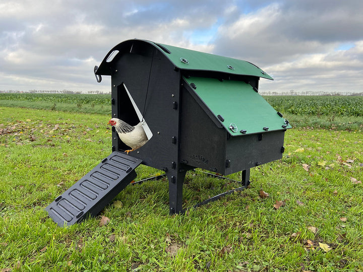 Kunststof Kippenhok - Nestera Medium Op Pootjes