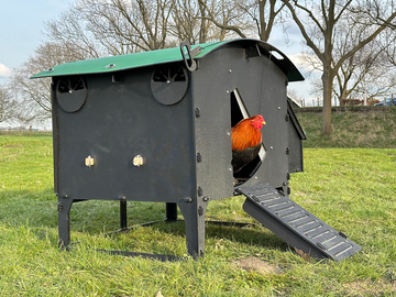 Kunststof Nestera Kippenhok -Lodge Large Op Pootjes zijkant