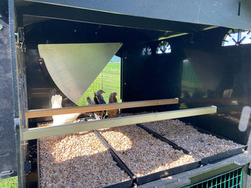 Kunststof Kippenhok - Nestera Large Penthouse Verhoogd | Met ren binnen