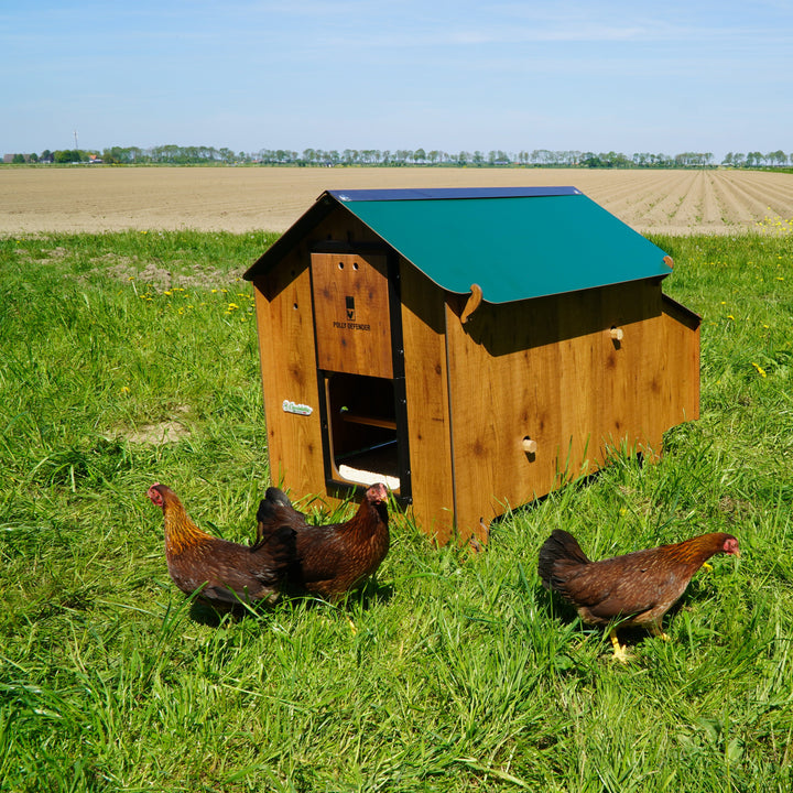 Trespa Kippenhok | Classic L | Grondmodel | Cucciolotta