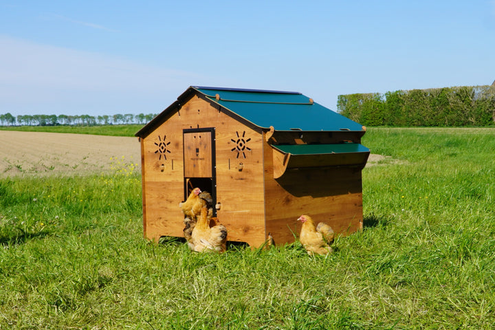 Trespa Kippenhok | Farm Evolution 3XL | Cucciolotta