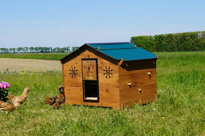 Trespa Kippenhok | Chalet 2XL | Cucciolotta