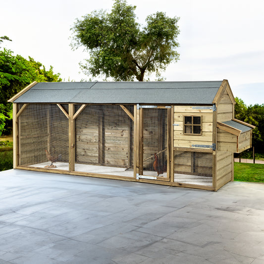 Kippenhok Eva - Glorenza