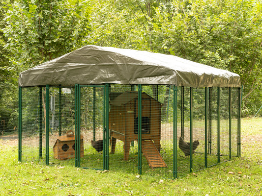 Kippenren | Staal |  3x3 meter | Cucciolotta