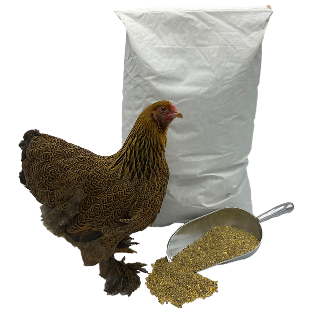 Bio Excellent Volwassenvoer | Vanaf de leg | 20 kg