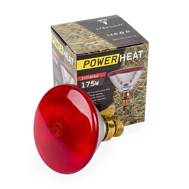 Warmtelamp, PAR38 230V / 175W / E27 Rood
