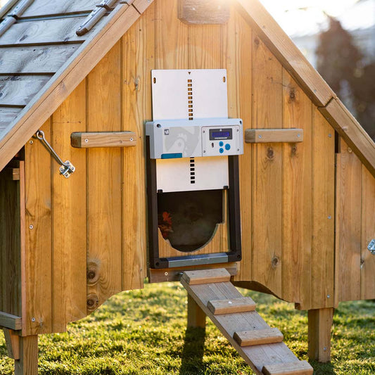 Chickenguard Automatisch Deursysteem | Tijd- & Lichtgestuurd | All-in-One
