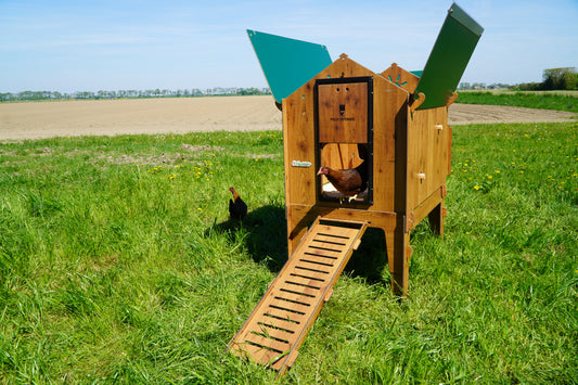 Trespa Kippenhok | Classic L | Op Pootjes | Cucciolotta