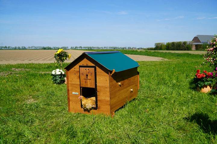 Polly Classic XL / Cucciolotta Trespa Kippenhok