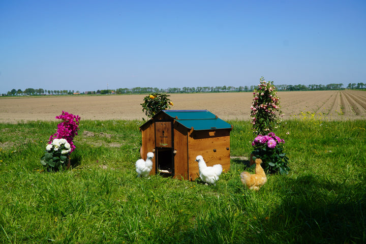 Trespa Kippenhok | Mignon L | Cucciolotta