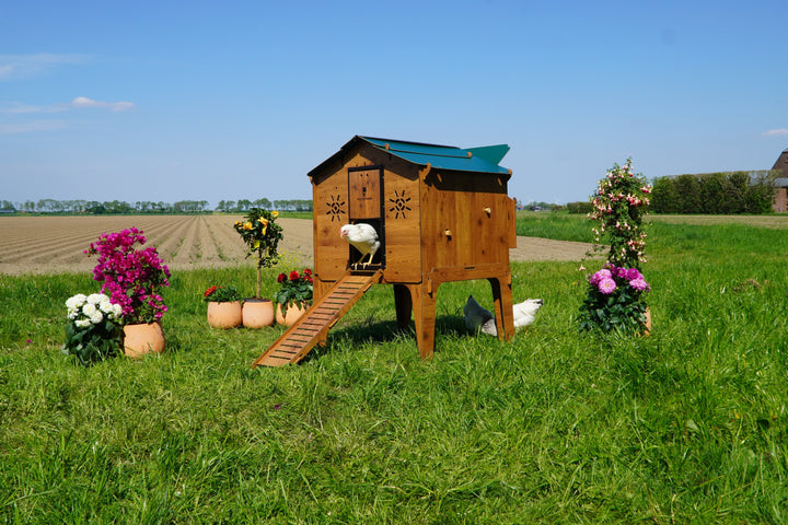 Trespa Kippenhok | Duplex L | Cucciolotta