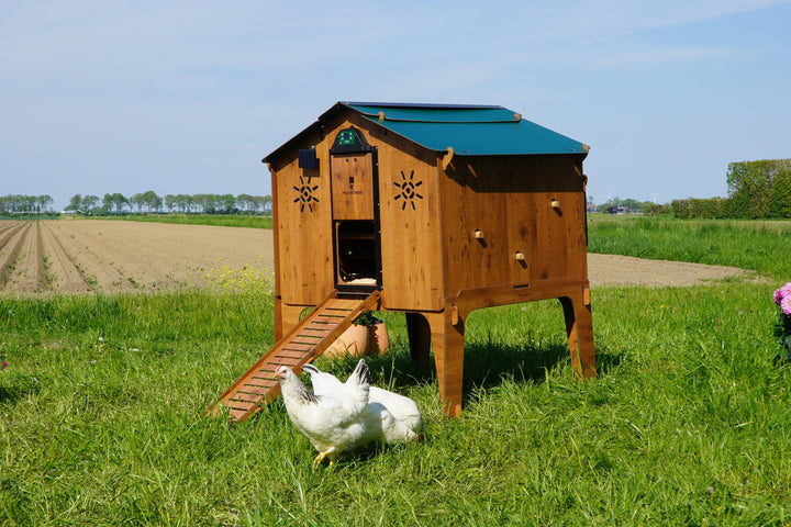 Trespa Kippenhok / Cucciolotta Duplex 2XL