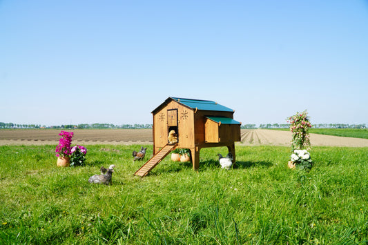 Trespa Kippenhok | Duplex 4XL | Cucciolotta