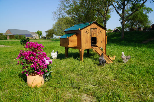 Trespa Kippenhok | Duplex 4XL | Cucciolotta