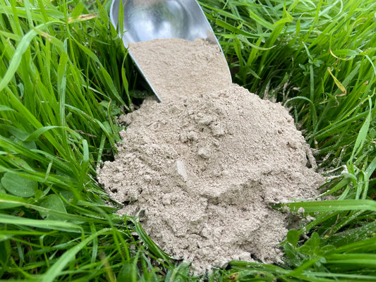 Farmidi Diatomeeënaarde | Tegen bloedluizen | 10 Liter