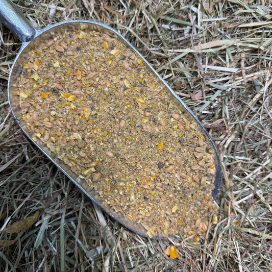 Excellent Volwassenvoer | Vanaf de Leg | 10 kg