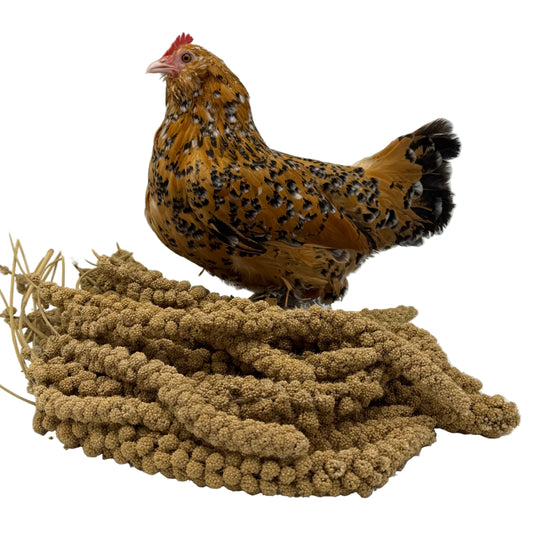 Farmidi Trostgierst 1 kg