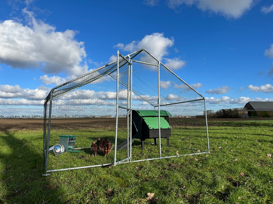 Kippenren 2x3 meter