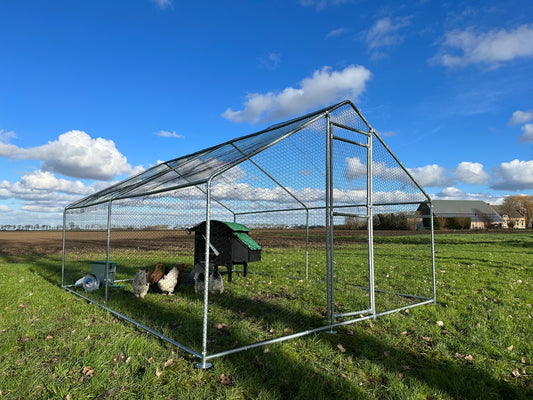 Kippenren 4x3 meter