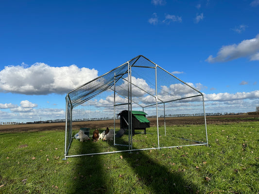 Kippenren 4 x 3 meter | Gegalvaniseerd staal
