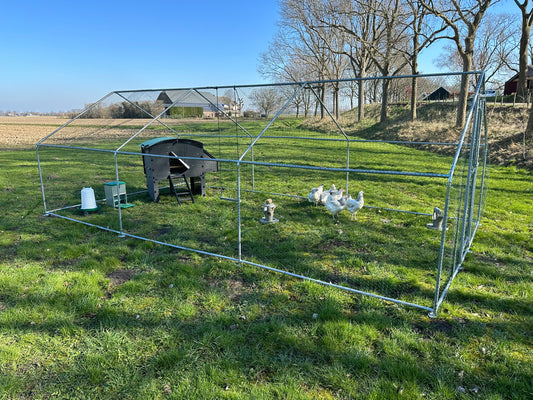 Kippenren 6x3 meter