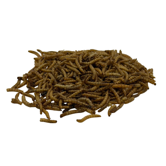 Meelwormen 5L Farmidi
